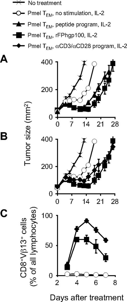 Figure 1. In vitro programming of TEM cells obviates the requirement for in vivo vaccination. (A-B) Sublethally irradiated WT mice bearing day 10 established subcutaneous B16 tumors were left untreated as controls (×) or received in vitro differentiated pmel TEM cells (○), pmel TEM cells plus rFPgp100 vaccination (■), or pmel TEM cells programmed in vitro with either hgp10025-33 peptide-pulsed APCs (▲) or plate-bound anti-CD3/CD28 (♦) for 24 hours before transfer. For all treatment groups receiving cell transfer, mice also received exogenous rhIL-2 (36 μg/dose × 6 doses). Results for tumor treatment experiments are presented as the mean measurements from 5 mice per group (± SEM) and are representative of 3 independent experiments per programming condition. (C) In vitro programming of TEM cells causes cells to execute a proliferative response in vivo similar to that of vaccine-stimulated TEM cells. Sublethally irradiated WT mice received nonrestimulated pmel TEM cells (○), pmel TEM cells programmed in vitro with plate-bound anti-CD3/anti-CD28 for 24 hours before cell transfer (♦), or pmel TEM cells plus rFPgp100 vaccination (■). All treated mice received exogenous rhIL-2. The percentage of adoptively transferred pmel-1 cells (identified as CD8+Vβ13+ lymphocytes/lymphocyte gate) were enumerated in the spleens of treated animals as a function of time. Each data point represents the average ± SEM of 3 independent mice per treatment group. This experiment was repeated 3 times with similar results.