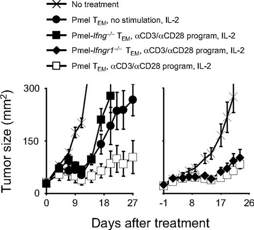 Figure 5. The enhanced in vivo antitumor efficacy of in vitro programmed TEM cells is dependent on IFN-γ production but independent of T-cell responsiveness to IFN-γ. WT mice bearing 10 days established B16 melanoma were sublethally irradiated and left untreated as controls (×) or received unprogrammed pmel TEM cells (●), or pmel TEM (□) cells, pmel-Ifng−/− TEM cells (■), or pmel-Ifngr1−/− TEM cells (♦) programmed in vitro with anti-CD3/anti-CD28 for 24 hours before transfer. For mice receiving programmed pmel TEM, pmel-Ifng−/− TEM cells, or pmel-Ifngr1−/− TEM cells, cultures were started with 2 × 106 cells per recipient mouse, and the total number of cells present at 24 hours were transferred. Mice treated with nonprogrammed pmel TEM cells received 2 × 106 cells. All treated mice received rhIL-2 (36 μg/dose × 6 doses). Results from different representative experiments are presented as the mean measurements from 5 mice per group (± SEM).