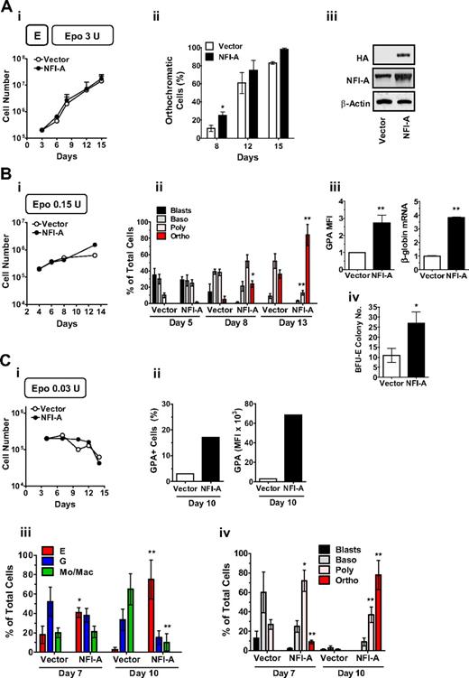 Figure 3. NFI-A overexpression favors differentiation and overcomes erythropoietin (Epo) dependence of erythroid (E) culture. (Ai) Growth curve of vector- and NFI-A–transduced HPCs in standard unilineage E culture (Epo 3 U/mL; mean ± SEM values; n = 3). (ii) Percentage of orthochromatic cells at sequential stages of E culture generated by vector- and NFI-A–expressing HPCs (mean ± SEM values; n = 3). (iii) Western blot showing ectopic expression of HA-tagged NFI-A in NFI-A–infected HPCs in E culture at day 8. (Bi) Growth curve (a representative experiment of 3 is shown) and (ii) morphologic evaluation (mean ± SEM values; n = 3) of E differentiation of vector- and NFI-A–transduced HPCs seeded in E culture with suboptimal amounts of Epo (0.15 U). (iii) Increase of GPA mean fluorescence intensity (MFI) (mean ± SEM values; n = 3) and real-time PCR showing β-globin mRNA expression (mean ± SEM values from 2 independent infections). (iv) Number of BFU-E colonies plated in Epo 0.15 clonogenic medium (mean ± SEM values of 2 paired experiments). (Ci) Growth curve of vector- and NFI-A–transduced HPCs in culture supplemented with minimal amounts of Epo (0.03 U). A representative experiment of 3 is shown. (ii) Percentage of GPA+ cells (left) and GPA MFI (right) at day 10. A representative experiment of 3 is shown. (iii-iv) Morphology analysis of vector- and NFI-A–infected HPCs (mean ± SEM values; n = 3).
