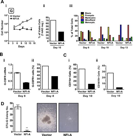 Figure 4. Ectopic expression of NFI-A blocks granulocytic (G) differentiation of HPCs. (Ai) Growth curve of unilineage G cultures transduced with vector or NFI-A lentivirus (mean ± SEM values of 3 independent experiments). (ii) The histogram shows the percentage of viable (or 7-amino-actinomycin D-negative) cells detected by flow cytometry (representative of 3). (iii) Wright-Giemsa staining of infected cells, showing the percentage of cells at various stages of differentiation. A representative experiment of 3 is shown. (Bi) Real-time PCR analysis of G-CSFR mRNA and (ii) flow cytometry analysis of total G-CSFR protein expression in vector and NFI-A cells at day 8. (C) Flow cytometry analysis of (i) CD11b and (ii) CD14/CD15 myeloid markers at day 10. (D) (Left) number of CFU-G colonies generated by transduced HPCs (mean ± SEM values; n = 3). (Right) Representative microphotographs of G colony or cluster in vector or NFI-A culture, respectively, at day 14. Original magnification ×100. See “Morphologic analysis” for more image information.