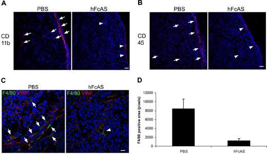 Figure 4. Angiostatin inhibits host macrophage recruitment to the tumors. Markers CD11b, CD45, and F4/80 (A-C). Infiltration of the host bone marrow–derived cells decreased after hFcAS treatment. (D) Quantification of F4/80 positive area was counted by pixel numbers (P < .05). Bar represents 100 μm.