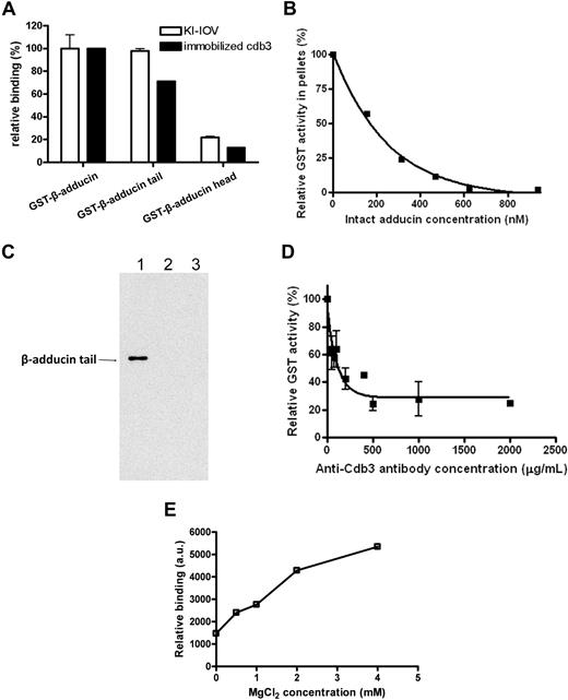 Figure 2. Identification of the adducin domain that interacts with KI-IOVs and band 3. (A) Native GST fusion constructs of intact adducin and its domains (1 μM) were incubated overnight at 4°C with KI-IOVs (65 μg in 200 μL; □) or with cdb3-(His)6 (5.5 μM; ■). The KI-IOV suspension was pelleted through a 25% sucrose cushion, whereas the cdb3-(His)6 solution was captured on nickel-nitrilotriacetic acid beads, washed 4 times, and eluted with 250 mM imidazole. GST activity was then quantified as a measure of adducin content. Data points represent mean ± SD, n = 2. Data were independently confirmed by dot blot analysis with anti-GST (data not shown). (B) Competitive inhibition of GST–β-adducin tail binding to KI-IOVs by intact erythrocyte adducin. KI-IOVs (100 μg of protein) were incubated with increasing amounts of intact erythrocyte adducin for 4 hours at 4°C (100 μL total volume), after which GST–β-adducin tail (250 nM) was added and incubated overnight at 4°C. Samples were processed and quantitated, as described above. Data points represent mean ± SD, n = 2 (apparent KI ∼150 nM). (C) Verification of β-adducin tail binding with cdb3 by GST pull-down assay. GST-tagged cytoplasmic domain of band 3 was coupled to glutathione beads, pelleted, and washed (as described above). His-tagged C terminus of β-adducin was added to the mixture. The GST–band 3–conjugated beads (lane 1) at a final concentration of 1 μM were incubated for 1 hour at room temperature, pelleted, and then washed. The pellet was analyzed by SDS-PAGE, and β-adducin fragment was detected by Western blotting using anti-His antibody. GST-tagged cytoplasmic domain of glycophorin C (lane 2) and GST alone (lane 3) were used as negative controls. (D) Competitive inhibition of GST–β-adducin tail binding to KI-IOVs by anti-cdb3 antibody. KI-IOVs (70 μg, 200 μL total volume) were incubated with increasing amounts of anti-cdb3 antibody for 4 hours at 4°C, after which GST–β-adducin tail (1500 nM) was added and incubated overnight at 4°C. Samples were processed and GST activity was quantitated, as described above. Data points represent mean ± SD, n = 2. (E) The association of GST–β-adducin tail with band 3 requires Mg2+. His-tagged band 3 was immobilized on nickel beads and incubated with 270 nM GST–β-adducin tail in the presence of increasing concentrations of MgCl2. Beads were pelleted, washed 5 times, and eluted with 250 mM imidazole in PBS. Eluted proteins were transferred to nitrocellulose membranes and probed for GST–β-adducin tail with an anti-GST polyclonal antibody. a.u. represents arbitrary units.