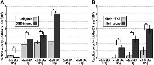 Figure 6. Injured neurons act as a fibrin-like plasminogen-activating cofactor. (A) Neuronal cultures were subjected to OGD for 72 hours. After this, tPA, plasminogen, and S2251 (a plasmin-sensitive substrate) were added to the cultures and S2251 hydrolysis was monitored over time. The reaction velocities from 4 independent experiments were collated. Data represent average ± SEM. *P < .05 by Student t test. Note, no S2251 hydrolysis occurred when only exogenous tPA was bath-applied, suggesting a lack of endogenous plasminogen expression in neuronal culture. Also note, a limited amount of S2251 hydrolysis occurred when plasminogen was bath-applied alone, suggesting a low level of endogenous tPA expression in neuronal culture (which is significantly decreased by OGD injury). The ability of uninjured cultures to drive high rates of plasminogen activation upon bath application of both exogenous tPA and plasminogen reflects the existence of cofactor molecules (eg, annexin II37) on the surface of viable neurons and the unavoidable presence of a low number of nonviable cells. As OGD dramatically increased the number of nonviable cells, bath application of both tPA and plasminogen to injured cultures achieved even higher rates of plasmin generation. (B) Using the same concentrations of exogenous tPA, plasminogen, and S2251, the rates of plasmin generation in the presence of a preformed fibrin clot were determined. Inclusion of 1 mM TXA in the reaction inhibited the cofactor activity of fibrin and thereby significantly attenuated the rate of plasminogen activation. The reaction velocities from 3 independent experiments were collated. Data represent average ± SEM. *P < .05 by Student t test.