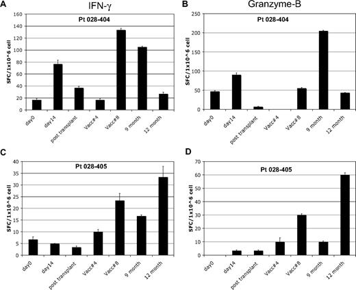 Figure 2. In vitro T-cell immune response to autologous tumor. Results of Elispot assay in 2 representative patients. Blood samples were analyzed at various study time points for T-cell response to autologous leukemia cells and assessed for interferon-γ and granzyme-B production by Elispot. Patient 028-404 showed induction of T-cell response by both interferon-γ (A) and granzyme-B (B) after pre- and posttransplantation immunotherapy. A typical pattern is seen with waning of the pretransplantation response soon after transplantation, followed by recovery with posttransplantation treatments. Patient 028-405 showed induction of T-cell response by both interferon-γ (C) and granzyme-B (D) after posttransplantation immunotherapy only. This response coincided with induction of a tumor DTH skin test response at posttransplantation treatment 8. Analysis time points included: pretransplantation immunotherapy baseline (day 0) and day 14 after the first immunotherapy dose (day 14), before posttransplantation immunotherapy 1 (∼6 weeks after transplantation) and at posttransplantation immunotherapy 4 and 8, and follow-up at month 9 and 12.