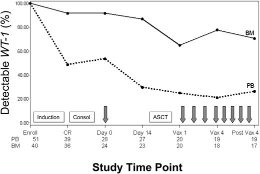 Figure 3. Detectable WT1 transcript levels in blood and bone marrow. Percentage of patients with detectable WT1 transcript levels in peripheral blood (PB) and bone marrow (BM) at enrollment, CR, pretransplantation immunotherapy day 0 and day 14, posttransplantation immunotherapy 1 (Vax 1) and 4 (Vax 4), and follow-up (post Vax 4). Boxes signify chemotherapy treatments including induction, consolidation (Consol), and ASCT. Arrows signify immunotherapy administration. Numbers along the bottom of the chart signify the number of patients with data at each time point.