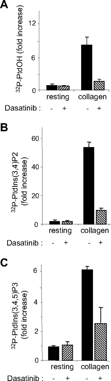Figure 2. Effect of dasatinib on collagen-induced PLC/DAG-kinase and PI 3-kinase activation. 32P-labeled platelets were treated or not with 50 nM dasatinib for 15 minutes and stimulated by 5 μg/mL collagen for 2 minutes under stirring at 900g, and the levels of (A) 32P-PtdOH, (B) 32P-PtdIns(3,4)P2, and (C) 32P-PtdIns(3,4,5)P3 were analyzed as indicated in “Methods.” Results are mean ± SEM of 3 independent experiments.