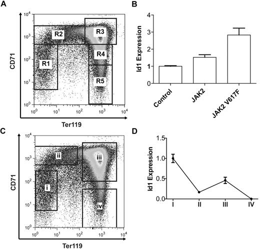 Figure 2. Id1 expression is dynamically regulated during terminal erythroid differentiation. (A) Ter119 and CD71 expression in E14.5 murine fetal liver cells as determined by FACS and showing 5 sequential stages of erythroid differentiation R1-R5. (B) Id1 transcript levels after 24 hours of in vitro culture of lineage-negative E14.5 fetal liver cells overexpressing Jak2 or Jak2V617F. (C) Four populations of murine E14.5 fetal liver cells: (i) Ter119−CD71−, (ii) Ter119−CD71+, (iii) Ter119+CD71+, and (iv) Ter119+CD71−, isolated by flow cytometry and representing sequential stages of erythroid differentiation. (D) Id1 transcript levels in the 4 sorted erythroid populations as determined by real-time quantitative PCR. Id1 transcript levels are bimodal with peaks of expression in ter119−CD71− and Ter119+CD71+ cell populations.