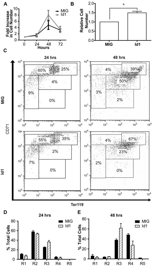 Figure 4. Id1 overexpression in fetal liver cells. (A) Expansion of lineage-negative E14.5 fetal liver cells in vitro after retroviral transfection with an Id1 expression construct or a control (MIG) vector. (B) Relative expansion of Id1- or control vector-expressing fetal liver cells during 48-hours of culture under low (0.01 U/mL) erythropoietin conditions. Shown is the mean and SEM for 3 independent experiments, each performed in triplicate (*P < .05; see “Results” for details). (C) Representative FACS plots for ter119 and CD71 expression in lineage-negative fetal liver cells overexpressing Id1 or a control vector after 24 or 48 hours of in vitro culture. Bar charts indicating the proportion of cells at each of the 5 stages of erythroid differentiation (R1-R5) after 24 (D) and 48 hours (E) of in vitro culture of lineage-negative E14.5 fetal liver cells retrovirally transfected with Id1 expression or control constructs. Data (mean and SD) from a representative set of experiments performed in triplicate are shown.
