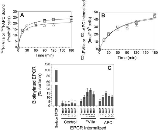 Figure 4. FVIIa or APC binding to EPCR leads to internalization of both the ligand and the receptor. CHO-EPCR cells were incubated with 125I-labeled FVIIa (□) or APC (Δ; 10 nM) for various time intervals at 37°C, and the amount of 125I-labeled proteins associated with the cell surface (A) and internalized (B) was measured. Data are mean ± SEM (n = 4-5). (C) CHO-EPCR cells were surface-labeled with sulfo-NHS-SS-biotin at 4°C and then incubated at 37°C for various time periods with a control buffer or the buffer containing FVIIa or APC (10 nM). The cells were then treated with the reducing agent to remove biotin label from the cell surface, lysed, and immunoprecipitated with anti-EPCR antibody. The immunoprecipitated samples were subjected to SDS-PAGE followed by immunoblot analysis with antibiotin antibodies to detect the internalized EPCR. Biotinylated EPCR signal was quantified by densitometry. Biotinylated EPCR signal detected in the cells immediately after the biotinylation was taken as 100%. The values shown in the figure represent mean ± SEM (n = 3).