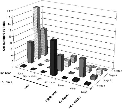 Figure 7. MK deformations at high shear rate on different surfaces coated with matrix proteins and effect of VWF inhibitors. Cord blood MKs suspended in IMDM were perfused on VWF (in the absence or presence of inhibitors), fibrinogen, collagen, or fibronectin at 1800 s−1 for 10 minutes; then IMDM alone was perfused for 10 minutes. Cell numbers were counted in 10 fields at the end of perfusion (20 minutes) and classified according to the 4 stages defined in Figure 1. Intense cell deformation and proplatelet formation occur on VWF. Cell perfusion on VWF in the presence of GPIb-VWF interaction inhibitors, either a blocking antibody to glycocalicin or an anti-VWF MoAb directed against VWF binding site to GPIb, indicated a major inhibition of MK adhesion to VWF and of subsequent steps, thus abolishing proplatelet formation. Abciximab, blocking the interaction of αIIbβ3 with VWF, prevented proplatelet and platelet formation. MK deformations and proplatelet formation on non-VWF surfaces were minimal in shear conditions as shown for fibrinogen, fibronectin, and collagen.
