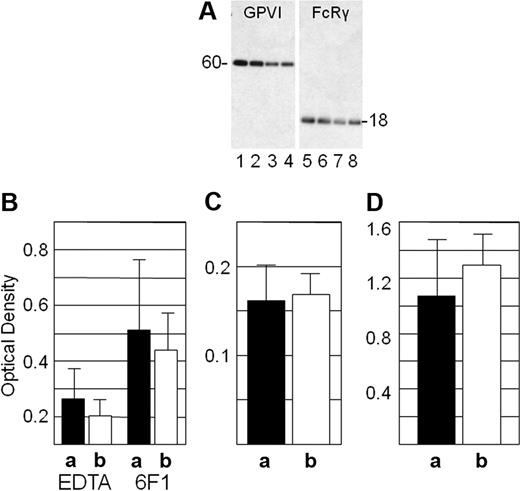 Figure 3. Ligand binding by membrane-associated GPVI in stably transfected Dami cell lines. (A) Coprecipitation of FcRγ with GPVIa or GPVIb. Equal amounts of rGPVIa (samples 1, 3, 5, and 7) or rGPVIb (samples 2, 4, 6, and 8) solubilized from transfected Dami cells were incubated with LJ6.5 (samples 1-4) or rabbit anti-FcRγ IgG (samples 5-8) for 2 hours at ambient temperature, and protein G-Sepharose (Pierce Chemical) was then added. After incubation for 1 hour, the beads were washed, and the proteins were eluted and separated by NuPAGE. Proteins separated in the polyacrylamide gel were transferred electrophoretically to a PVDF membrane, and the membrane was then probed with either LJ6.5 (samples 1-4) to visualize rGPVI (60 kDa) or rabbit anti–FcRγ IgG (samples 5-8) to visualize the FcRγ chain (18 kDa). Bound probes were visualized by enhanced chemiluminescence using HRP-conjugated secondary reagents. Relative protein concentrations loaded on the NuPAGE gel were as follows: 2× (samples 1, 2, 5, 6) and 1× (samples 3, 4, 7, 8). (B-D) Ligand binding by membrane-associated full-length GPVI isomers. This figure depicts the binding of Dami cells stably transfected with rGPVIa or rGPVIb to microtiter plates coated with type I collagen (B), CRP (C), or CVX (D). Bound cells were detected by a colorimetric reaction, and the extent of binding is directly proportional to the optical density plotted on the ordinate: a, represents cells transfected with rGPVIa; b, those transfected with rGPVIb. (B) The binding to collagen was conducted in the presence of either 1 mM EDTA (left) or 60 μg/mL monoclonal antibody 6F1 (right) to minimize the potential contribution of endogenous Dami cell integrin α2β1 to adhesion.