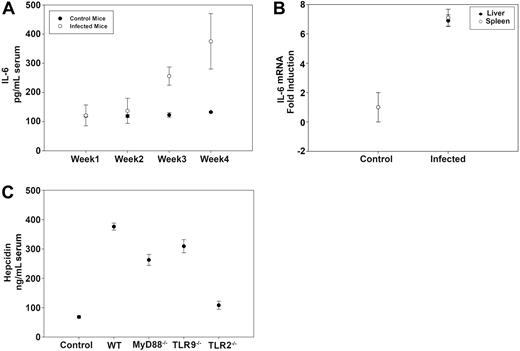 Figure 3. Hepcidin mRNA transcripts are up-regulated in mice infected with B burgdorferi. (A) Serum was isolated from blood samples obtained weekly from B burgdorferi-infected and uninfected C3H mice over a 4-week experimental period. IL-6 levels were measured by enzyme-linked immunosorbent assay. (B) C3H mice were infected with B burgdorferi and sacrificed after 4 weeks of infection. RNA was isolated and purified from the livers and spleens, and IL-6 and actin transcripts were analyzed by RT-PCR. (C) Serum hepcidin levels were measured in uninfected WT C57BL/6 mice, infected WT C57BL/6 mice, and infected C57BL/6 mice deficient for MyD88−/−, TLR9−/−, or TLR2−/− after 4 weeks of infection.