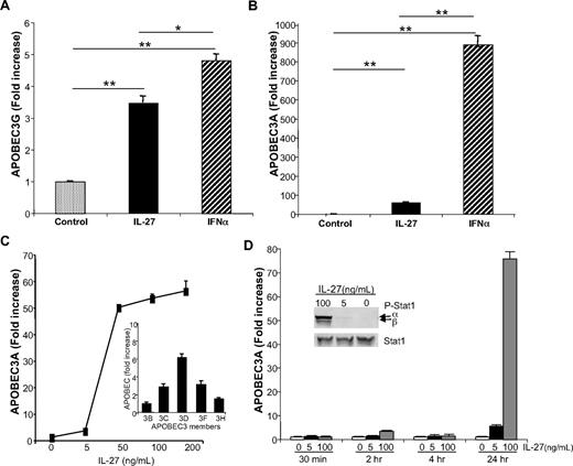 Figure 4. IL-27 enhances macrophage APOBEC RNA expression. Monocyte-derived macrophages were treated 18 to 24 hours with IL-27 at 100 ng/mL or IFN-α at 10 ng/mL. Cells were lysed and processed for RNA following QIAGEN's RNeasy protocol, and gene transcription was analyzed by real-time PCR for (A) APOBEC3G (n = 3) and (B) APOBEC3A (n = 5). GAPDH was used as normalization control. Data were analyzed using the 2−ΔΔct method and results reported as fold increase (*P < .05; **P < .005). (C) IL-27 (5-200 ng/mL) was added to macrophage cultures for 24 hours and RNA processed for real-time PCR with APOBEC3A primers (n = 4). Inset: IL-27 (50 ng/mL) was added to macrophage cultures for 24 hours and indicated members of APOBEC family expression profiles determined by RT-PCR (n = 2). (D) Kinetics (30 minutes to 24 hours) of IL-27 (0-100 ng/mL) induction of APOBEC3A expression as determined by real time PCR (n = 3). Inset: IL-27 at indicated concentrations was added to macrophage cultures for 30 minutes, and phospho-STAT1 and total STAT were monitored by Western blot.