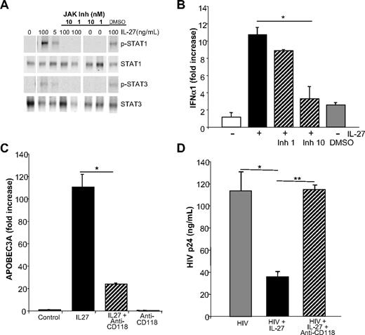Figure 7. Blocking IL-27 signaling reverses inhibition of HIV infection. (A) Inhibition of IL-27 signal transduction by blocking JAK activation interrupts STAT1 and STAT3 phosphorylation. Macrophages were treated with JAK inhibitor at 1 or 10 nM for 1 hour before addition of IL-27, and after 30 minutes, processed for Western blots using antibodies to STAT1, STAT3, p-STAT1, and p-STAT3 (representative data, n = 3). (B) Inhibition of JAK activation blocks IL-27 downstream transcription of IFN-α. Macrophages pretreated for 1 hour with JAK inhibitor (0-10 nM) before addition of IL-27 exhibited reduced induction of IFN-α after 30 minutes as determined by RT-PCR (mean ± SEM, *P = .01; n = 3). (C) Monocyte-derived macrophages were treated or not with IFN receptor antibody (CD118 at 10 μg/mL) 20 to 30 minutes before IL-27 (100 ng/mL) and APOBEC3A determined by RT-PCR after 24 hours (mean ± SEM, *P = .01; representative triplicate data, n = 8). (D) Monocyte-derived macrophages (n = 4) were infected with HIV, washed, and then treated or not with IFN receptor antibody (CD118 at 10 μg/mL), which was added 20 to 30 minutes before IL-27 (100 ng/mL). ELISA for p24 was used to monitor HIV replication in the treated and untreated cultures (mean ± SEM, *P = .01, **P = .001).