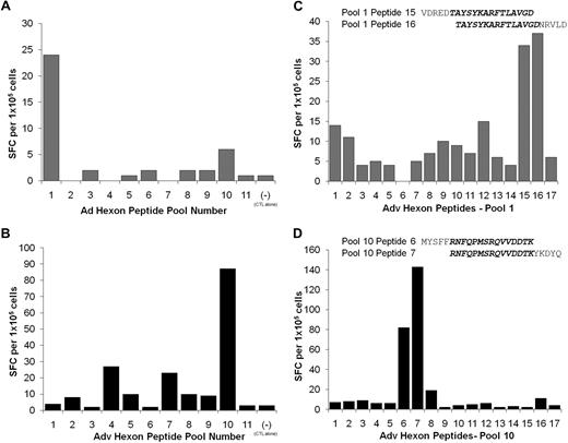 Figure 3. Specificity of CB CTL lines for adenovirus hexon. CB-derived CTL lines were screened by ELISPOT assay against 11 pools of hexon peptides (20mers overlapping by 15 aa) to identify which peptide pools were being recognized by each CTL line. (A) The CTL line CB6 showed specific IFN-γ release specifically against peptide pool 1. (B) The CTL line CB9 showed specific IFN-γ release specifically against peptide pool 10. Results are expressed as spot-forming cells (SFCs)/105 CTLs. (C) To identify the stimulating 20mer peptides, CTL line CB6 was rescreened against the individual peptides contained in pool 1. The CTL reactivity against pool 1 were mapped to the overlapping peptides 15 (VDREDTAYSYKARFTLAVGD) and 16 (TAYSYKARFTLAVGDNRVLD). (D) In contrast, the reactivity in CTL line CB9 was mapped to peptides 6 (MYSFFRNFQPMSRQVVDDTK) and 7 (RNFQPMSRQVVDDTKYKDYQ) in pool 10. Results are expressed as SFCs per 105 CTLs.
