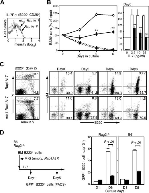 Figure 2. Impaired IL-7 response of the BM BLPs from mb.1-Rap1A17 Tg mice. (A) BM cells from Rap1A17f (solid line) and mb.1-Rap1A17 (fine dotted line) Tg mice were 3-color stained with anti-B220, anti-CD25, and anti–IL-7α antibodies and analyzed with FACSCalibur. IL-7Rα–staining profiles in a B220+ CD25+ gate are indicated. The course dotted line indicates the control staining. (B) The B220+ BM cells from Rap1A17f (○) and mb.1-Rap1A17 Tg (●) mice were cultured in the presence (solid lines) or absence (dotted lines) of IL-7 (10 ng/mL), and B220+ cell numbers were determined at the indicated days (left). In independent experiments, the cells were cultured in the presence of various doses of IL-7 (0 ∼ 25 ng/mL) for 6 days (right). The mean percentages and SEs of the viable B220+ cell recoveries in triplicate cultures are indicated. *P < .05; **P < .01. (C) The aliquot cells of the cultures (IL-7 at 10 ng/mL) were multicolor analyzed with the indicated antibodies. The percentages of cells in the quadrants are indicated. (D) B220+ cells sorted from the BM of normal B6 and Rag2−/− mice were infected with empty (□) or Rap1A17-containing (■) MIG and cultured in the presence of IL-7 (10 ng/mL). On days 1 and 5, the numbers of GFP+ B220+ cells were determined. The means and SEs of triplicate cultures are indicated.