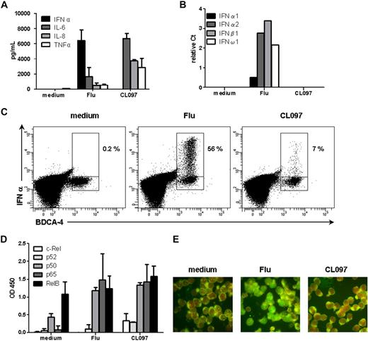 Figure 2. Differential pDC maturation is triggered by different TLR7 ligands. GEN2.2 cells were untreated or stimulated with Flu or CL097 for 24 hours. (A) Production of proinflammatory cytokines was measured in culture supernatants by enzyme-linked immunoabsorbent assay and CBA. The mean and SD from duplicate values of 3 independent experiments are shown. (B) After 24 hours of culture, RNA was extracted, and RNA expression levels of type I IFNs: IFN-α1, -α2, -β1, and -ω1 were measured by quantitative PCR. Data shown are normalized to G6PDH and are representative of 2 independent experiments. (C) PBMCs from healthy donors were cultured in the absence or presence of Flu or CL097 for 3 hours. Secretion was blocked by adding brefeldin A for a further 4 hours. Intracellular IFN-α production was measured in HLA-DR+ BDCA4+ pDCs by flow cytometry. Dot plots show the percentage of IFN-α–producing cells among pDCs. Representative results from 3 different donors are shown. (D) GEN2.2 cells were cultured in the absence or presence of Flu or CL097 for 3 hours. Cells were lysed and proteins were extracted. The different NF-κB subunits were quantified in nuclear fractions with the use of the TransAM kit. The mean OD and SD from duplicate values of 3 independent experiments are shown. (E) GEN2.2 cells were cultured in the absence or presence of Flu or CL097 for 3 hours. Cells were immunostained for IRF7 and Evans blue colored. Immunofluorescence was assessed by microscopy. Representative images from 3 independent experiments are shown.