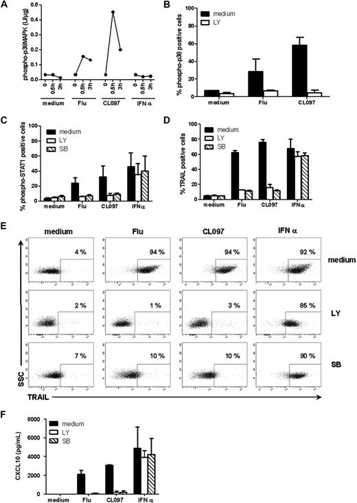Figure 6. STAT1 phosphorylation and expression of IFN-inducible genes after TLR7 triggering depends on the PI3K-p38MAPK pathway. GEN2.2 cells were untreated or stimulated with Flu, CL097, or IFN-α for 30 minutes or 3 hours. (A) Phospho-p38MAPK (pT180/pY182) was quantified on whole-cell lysates by CBA. Data shown are representative of 2 independent experiments. (B) GEN2.2 cells were untreated or stimulated with Flu, CL097, or IFN-α for 30 minutes in the absence or presence of the PI3K inhibitor LY. Cells were fixed and permeabilized for phospho-p38MAPK (pT180/pY182) analysis by flow cytometry. The mean percentages and SDs from duplicate values of 2 independent experiments are shown. (C) Phospho-STAT1 (pY701) and (D) TRAIL expression were analyzed by flow cytometry after 2 hours or 4 hours of stimulation of GEN2.2 cells with Flu, CL097, or IFN-α in the absence or presence of LY and the specific p38MAPK inhibitor SB203580 (SB). The mean percentages and SDs from duplicate values of 3 independent experiments are shown. Blood-isolated pDCs were unstimulated or stimulated with Flu or CL097 for 4 hours in the absence or presence of LY and SB. (E) Expression of TRAIL was evaluated by flow cytometry. Dot plots representative of 2 experiments are shown. The percentage of TRAIL-positive cells is indicated on each plot. (F) CXCL10 production was measured in cell culture supernatants by CBA. The mean and SD from duplicate values of 2 experiments performed with 2 different donors are shown.
