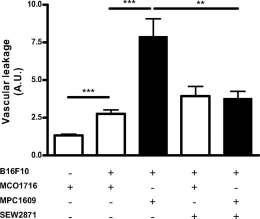 Figure 3. Endogenous APC protects against cancer cell–induced vascular leakage in the lung through S1P1. Vascular leakage in the lungs was assessed in C56Bl/6 mice treated intraperitoneally with 200 μg of an antibody that both blocks anticoagulant and signaling properties (MPC1609; ■) and a control antibody (MCO1716; □) at 30 minutes before the administration of 1.75 × 105 B16F10 into the lateral tail vein in the absence or presence of the S1P1 agonist SEW2871 (10 mg/kg), using the Evans Blue Dye assay. Antibody administration was repeated at 48 and 96 hours after cancer cell inoculation. Mice were killed at 5 days after cancer cell inoculation. Evans Blue Dye was injected intravenously (20 mg/kg) at 3 hours before mice were killed and lungs were harvested, homogenized, and incubated at 60°C in formamide for 16 hours to extract the Evans Blue dye. Vascular leakage was subsequently assessed spectrophotometrically at a wavelength of 620 nm and is indicated as OD620 per gram of lung tissue. Error bars represent means ± SEMs (n = 7-8), ***P < .001; **P < .01.