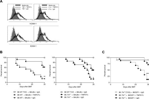 Figure 1. Administration of TNFR:Fc construct after transplantation attenuates GVHD in the absence of donor-derived TNF. (A) The b.END3 cell line (which is dependent on TNF/LTα3 signaling for the up-regulation of surface VCAM-1 and ICAM-1) was cultured in the presence of recombinant mouse TNF or LTα3 that had been preincubated with either TNFR:Fc or control IgG. Preincubation of recombinant TNF and LTα3 with human TNFR:Fc construct returned expression of these 2 molecules to the basal level seen in untreated cells, whereas incubation with control IgG allowed up-regulation of VCAM-1 and ICAM-1 to occur as expected. VCAM-1 and ICAM-1 surface expression was analyzed by flow cytometry. Plots shown are representative from 2 separate replicate experiments. (B) A total of 5 × 106 BM and 106 CD3+ T cells from B6.WT or B6Tnf−/− donor mice was transplanted into lethally irradiated BALB/c recipients (n = 13-14), which were then treated with TNFR:Fc or control IgG on alternate days commencing at day +3 after transplantation and continuing until day 30. TCD bone marrow from B6.WT donors was transplanted into BALB/c recipients (n = 10) as non-GVHD controls (P = .004, WT.B6 donors, TNFR:Fc vs IgG; P = .023, Tnf−/− donors, TNFR:Fc vs IgG). Data combined from 2 replicate experiments. (C) A total of 5 × 106 BM and 2 × 106 CD3+ T cells from B6.Tnf−/− donor mice was transplanted into lethally irradiated B6D2F1 recipients. Recipient mice were treated as described in panel B. Data shown are combined from 2 separate experiments, n = 16, BM plus T groups; n = 7, TCD control group. P = .001, TNFR:Fc treated versus IgG control (T cell–replete groups).