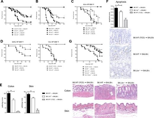 Figure 3. Soluble LTα3 homotrimer is the important pathogenic lymphotoxin molecule in GVHD. (A) Survival by Kaplan-Meier analysis of lethally irradiated (1300 cGy) B6D2F1 mice transplanted with 5 × 106 BM and 2 × 106 CD3+ T cells from B6.WT, B6.Tnf−/− or B6.Lta−/− donors. Data are combined from 2 separate experiments (n = 16, BM + T groups; n = 6, TCD control group. P = .866, Tnf−/− vs Lta−/−; P < .009, Tnf−/− and Lta−/− vs WT). (B) Survival by Kaplan-Meier analysis of lethally irradiated B6D2F1 recipient mice that received BM + T grafts from B6.Lta−/−, B6.Ltb−/− or B6.WT donors. Data shown are combined from 2 separate experiments (n = 18, BM + T groups; n = 10, TCD control group, where TCD marrow was derived from B6 donors that were either B6.WT, B6.Lta−/− or B6.Ltb−/−). P = .018, Lta−/− vs WT; P < .0001 Ltb−/− vs WT. (C) Survival by Kaplan-Meier analysis of lethally irradiated BALB/c recipient mice transplanted with 5 × 106 BM and 0.5 × 106 CD3+ T cells from B6.Ltb−/−, B6.Lta−/− or B6.WT donors. Data shown are combined from 2 separate experiments (n = 12 in BM + T groups; n = 7 in TCD control group where the TCD donor was B6.Ltb−/−. P = .0011 Lta−/− vs WT; P = .212, Ltb−/− vs WT). (D) Survival by Kaplan-Meier analysis of BALB/c recipients of Lta−/− or WT grafts in which the T-cell dose was either 0.25 × 106 CD3+ per graft, or 106 CD3+ per graft. For 0.25 × 106 T cells: n = 10 per BM + T group; P = .0357 Lta−/− vs WT. For 106 T cells: n = 20 per BM + T group; P = .1657 Lta−/− vs WT. (E) Tissues from BALB/c recipient mice transplanted with 5 × 106 BM and 0.5 × 106 CD3+ T cells from B6.Lta−/− (n = 7), B6.WT donors (n = 8), or B6.WT TCD controls (n = 4) were taken 21 days after transplantation. Sections were prepared and scored for histopathology, including apoptosis, as described in “Histologic analysis.” For colon: P = .0016 Lta−/− vs WT; skin: P = .0088 Lta−/− vs WT. Representative photomicrographs (×250) from colon and skin 21 days after BMT. (F) Collated apoptosis scores from colon and skin, as described in “Histologic analysis,” P = .023, Lta−/− vs WT. Photomicrographs (×400) of TUNEL staining on representative colon, as described in “Histologic analysis.” (G) Survival by Kaplan-Meier analysis of lethally irradiated BALB/c recipient mice transplanted with 5 × 106 BM and 0.5 × 106 CD3+ T cells from B6.Tnf−/−, B6.Lta−/−, B6.Tnf/Lta−/−, or B6.WT donors. Data shown are combined from 2 separate experiments (n = 14 in BM + T groups; n = 10 in TCD control group; P ≤ .0007 for Tnf−/−, Lta−/− and Tnf/Lta−/− BM + T groups vs WT).