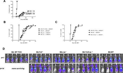 Figure 5. P815 leukemia is resistant to GVL mediated by donor-derived TNF and LTα3. Leukemia relapse by Kaplan-Meier analysis in lethally irradiated (1100 cGy) B6D2F1 recipients transplanted with grafts from B6.WT or B6.Lta−/− donors, containing 5 × 106 BM cells, and (A) 2 × 106 CD3+ T cells with 2.5 × 104 P815 tumor cells, (P = .60, Lta−/− vs WT; P = .25, Tnf−/− vs WT, T cell–replete groups), or (B) 0.5 × 106 CD3+ T cells with 5.0 × 104 P815 tumor cells. P = .42, Lta−/− vs WT; P = .98, Tnf−/− vs WT, T cell–replete groups. For panels (A) and (B), data is combined from a minimum of 2 experiments, n ≥ 18, BM + T arms; n = 10, TCD control arm. (C) Lethally irradiated (1100 cGy) B6D2F1 recipients received B6.Tnf/Lta−/− or B6.WT grafts (0.5 × 106 T and 5 × 104 tumor cells). Experiment is 1 of 3 replicate experiments, n = 16, Tnf/Lta−/− group; n = 8, WT BM + T group; n = 5, WT TCD group. P = .65, Tnf/Lta−/− vs WT, T cell–replete groups. (D) Representative biophotonic imaging at day 7 and 14 after BMT confirming leukemia development irrespective of donor-derived LTα, TNF, or both.