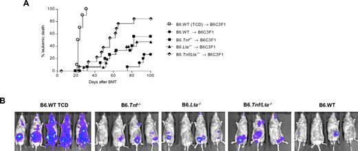Figure 6. p210 leukemia is sensitive to GVL mediated by donor-derived TNF and LTα3. (A) Leukemic relapse by Kaplan-Meier analysis in lethally irradiated (1100 cGy) B6C3F1 recipients transplanted with 5 × 106 BM and 0.5 × 106 T cells from B6.WT, B6.Lta−/−, B6.Tnf−/− or B6.Tnf/Lta−/− mice or 5 × 106 B6.WT TCD BM, in conjunction with 1 × 106 p210 tumor cells (H-2Dk, luciferase+). P = .024 Lta−/− vs Tnf/Lta−/−. P = .048, Tnf−/− vs Tnf/Lta−/−. P < .0001 Tnf/Lta−/− vs WT. P = .048 Tnf−/− vs WT, T cell–replete groups. Data are combined from 2 replicate experiments, n = 16 in BM + T groups and n = 10 in TCD control. (B) Representative bioluminescent imaging, taken at day 19 after transplantation.