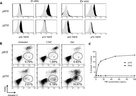 Figure 7. p210 leukemia expresses the p55 TNFR and is directly sensitive to TNFR-mediated apoptosis. (A) In vitro TNFR levels on P815 and p210 tumor cells were measured by flow cytometry, in which gray represents isotype control and black the TNFR staining. Ex vivo B6D2F1 or B6C3F1 mice were transplanted with B6 BM and P815 or P210 leukemia, respectively. At the time point at which mice would normally succumb to leukemia burden, leukemic cells were analyzed by flow cytometry for p55 and p75 TNFR expression. (B) Tumor cell lines were assessed for sensitivity to TNFR-mediated killing by annexin V staining. A total of 105 cells was incubated for 5 hours with recombinant mouse TNF (150 ng/mL), LTα3 (600 ng/mL), or media alone. Data shown are representative of a minimum of 3 replicate experiments. (C) TNFR-mediated killing of the p210 line is dose dependent. Cells were treated, as described in panel B, with escalating doses of TNF.