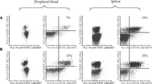 Figure 7. Effect of 5-azaC on the number of regulatory T cells in peripheral blood and spleen of mice after transplantation. Regulatory T cells in peripheral blood and spleen of (A) C57BL/6 mice and (B) Balb/c mice transplanted with C57BL/6 BM plus splenocytes and 5-azaC 60 and 84 hours after transplantation and on days 19, 21, and 23 after transplantation. Dot plot shows 1 representative case of 4 analyzed.