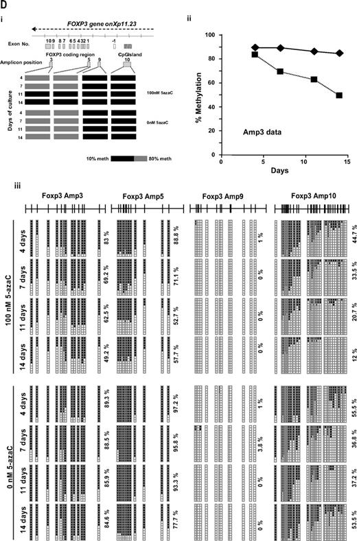 Figure 5. Effect of 5-azaC on the expression of FOXP3 and on the methylation pattern of FOXP3 promoter. (A) Regulatory T cells were identified as CD4+CD25+FoxP3+CD127− cells. A representative dot plot of 6 cases analyzed is shown. (B) Mean fluorescence intensity for FoxP3 at 0 and after 7 and 14 days of culture; a significant increase in the mean fluorescence intensity for FoxP3 was observed along the 14 days of culture in the presence of 5-azaC compared with controls; (C) quantitative PCR showed a significant increase in FOXP3 expression in treated versus untreated T cells from day 7 to 14 of culture. (D) Effect of 5-azaC in the methylation status of the FOXP3 gene. (i) Schematic overview of the FOXP3 gene, including exons and position of its promoter CpG island. It is shown the position of the amplicons designed for methylation analysis. The bottom panel depicts a summary of the methylation levels measured by bisulfite sequencing of different samples indicated below. Each box represents 1 of the 4 amplicons studied with the average methylation rate according to the color code (scale is shown at the bottom: black indicates no methylation; gray, methylation). (ii) Graph corresponding to the change of methylation for one of the amplicons of the Foxp3 gene at different time points (4, 7, 11, and 14 days) and presence or absence of 5-azaC (100 and 0nM). (iii) Individual bisulfite sequencing of the 4 selected regions of the Foxp3 gene according to Baron et al.32 Fifteen clones are shown. Methylated and nonmethylated CpG sites are represented as black and white squares, respectively. Percentage of methylation is shown at the right hand side of each section. Eight samples are represented corresponding to 4 time points (4, 7, 11, and 14 days) in the presence or absence of 5-azaC (100 and 0nM).