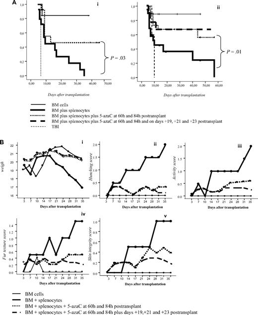Figure 6. Survival and GVHD incidence among Balb-c mice receiving transplantation with or without 5-azaC. (A) Kaplan-Meier curves representing overall survival of mice after a dose of 10 × 106 splenocytes (i) or 5 × 106 splenocytes (ii). In both models the addition of the drug significantly improved survival. (B) Evolution of weight loss (i), hunching (ii), activity (iii), fur texture (iv), and skin integrity (v), along the period of observation. Statistically significant differences were observed for all parameters analyzed between the groups receiving splenocytes versus splenocytes plus 5-azaC (P < .05). (C) Dot plots demonstrating chimerism studies in transplanted mice; the percentage of CD45+ cells within the BM was similar among mice receiving (i) BM (mean percentage: 48%), (ii) BM plus splenocytes (44%), and (iii) BM plus splenocytes and 5-azaC (46%). In addition, the percentage of CD34+ cells within hematopoietic cells was not significantly different in BM upon comparing mice receiving BM (0.3%), BM plus splenocytes (0.22%), or BM plus splenocytes and 5-azaC (0.13%). Finally, the percentage of T cells (identified on the basis of their high expression of CD45, see supplemental Figure 3) among hematopoietic cells in BM was lower among mice receiving 5-azaC (0.8%) compared with those mice receiving BM plus splenocytes (1.68%) or BM cells (0.97%; P = .05 for the comparison between mice receiving splenocytes with or without 5-azaC); A representative case of 5 cases analyzed is shown.