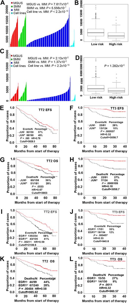 Figure 2. High risk and poor prognosis in MM is highly correlated with low expression of both JUN and EGR-1. JUN (A) and EGR-1 (C) gene expression levels (y-axis) in plasma cells from 98 subjects with MGUS, 104 with smoldering MM (SMM), and 544 newly diagnosed MM in the TT2 trial, as well as in 63 myeloma cell lines. The height of each bar indicates a sample's level of JUN (A) or EGR-1 (C) gene expression, as measured by Affymetrix microarray signal. Low JUN (B) and EGR-1 (D) expression levels were highly correlated with high-risk MM. JUN and EGR-1 expression levels, as measured by Affymetrix microarray signal, in 75 high-risk MM patients are significantly lower than in 469 low-risk MM patients. By the use of the optimal cutoffs, EFS (E, F, I, and J) and OS (G, H, K, and L), analyses were performed on JUN (E-H) or EGR-1 (I-L) mRNA expression levels, measured by Affymetrix microarray signal, in the TT2 and TT3 datasets.