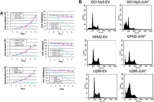 Figure 4. Effects of JUN overexpression on myeloma cell survival. (A) Effects on cell proliferation (left) and cell viability (right) in OCI-My5 (top), OPM2 (middle), and U266 (bottom) cells for JUN overexpression. Total number of cells and cell viability were evaluated daily by trypan blue exclusion. Error bars represent standard error of the mean for 2 independent experiments. (B) JUN overexpression induced apoptosis of OCI-My5, OPM2, and U266 cells as evaluated by flow cytometry performed 72 hours after lentiviral transfection with EV or JUN cDNA. Overexpression of JUN induced a dramatic increase in the percentages of cells with sub–G0-phase DNA content (indicative of apoptosis). CON indicates control; EV, empty vector; and JUNH, JUN overexpression.