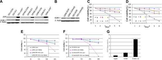 Figure 5. EGR-1 is the direct downstream target gene of JUN. (A) Western blot analysis compared OCI-My5 (OCI), OPM2, and U266 myeloma cells when untransfected (CON), carrying empty vector (EV), or overexpressing JUN (JUNH). Results showed specificity of JUN overexpression and effects on regulation of EGR-1. β-Actin was used as a loading control. (B) Effect of nonspecific scrambled shRNA (SCR) and JUN shRNA (JUN-KD) in U266 and OCI-My5 (OCI) cells on regulation of EGR-1 expression was evaluated by Western blot. Effects on cell viability in OCI-My5 (C) and OPM2 (D) cells for JUN overexpression (a), silencing of EGR-1 expression (b), JUN overexpression in the case of EGR-1 knockdown (c), overexpression of Survivin (d), JUN overexpression in the case of Survivin overexpression (e), and exposure to the pan-caspase inhibitor Z-VAD-fmk (f). Cell viability was evaluated daily by trypan blue exclusion. Error bars represent SEM for 2 independent experiments. U266 (E) and OCI-My5 (F) EGR-1–knockdown JUN overexpression cells compared with U266 and OCI-My5 JUN overexpression cell lines during exposure to 10nM bortezomib (Bort). Cell viability was determined every 12 hours by trypan blue exclusion. Error bars represent standard error of the mean for 2 independent experiments. (G) JUN binding to the proximal EGR-1 promoter in OCI-My5 and JUN-overexpressing OCI-My5 cells (OCI-My5-JUNH) was analyzed by ChIP by the use of antibodies against JUN or no antibody (negative control); real-time PCR followed.