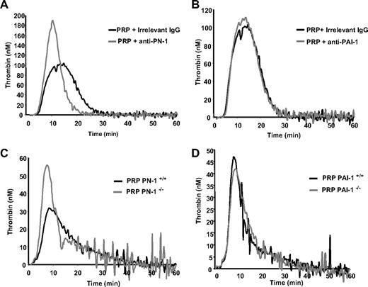 Figure 5. Thrombin generation in human and mouse PRP. TF-triggered thrombin generation was measured in PRP. Human PRP was preincubated with (A) a PN-1–blocking IgG (150 μg/mL) or (B) a PAI-1–blocking IgG (150 μg/mL). Mouse PRP was from (C) PN-1–deficient mice or (D) PAI-1–deficient mice on thrombin. Results are from one experiment performed in triplicate, representative of at least 3 independent experiments.