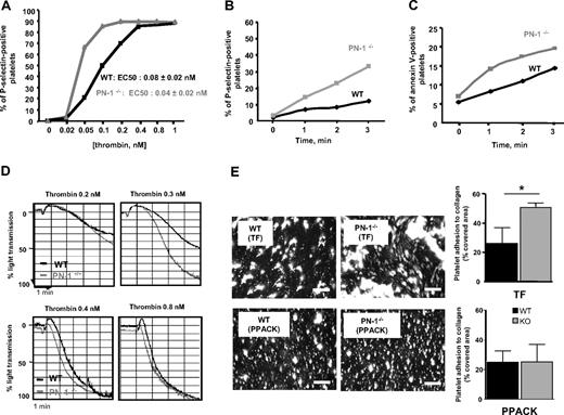 Figure 6. Platelet activation and aggregation, and thrombus formation on collagen under blood flow. (A) Washed platelets from WT (black line) or PN-1–deficient mice (gray line) were activated by increasing doses of thrombin, and P-selectin was measured by flow cytometry. (B-C) Washed platelets from WT mice (black line) or PN-1–deficient mice (gray line) were activated by 0.1nM thrombin. Time courses of (B) P-selectin and (C) phosphatidylserine exposure on platelets were measured by flow cytometry using FITC-labeled rat anti–mouse P-selectin IgG and FITC–annexin V. (D) Washed platelets from WT mice (black line) or PN-1–deficient mice (gray line) were activated by different doses of thrombin, and platelet aggregation was monitored. Data are from 1 experiment representative of at least 3 separate experiments. (E) Rhodamine 6G–labeled mouse platelets in whole blood were perfused in procoagulant conditions (2pM TF and 5mM Ca2+) or in anticoagulant conditions (80μM PPACK), at 1000/s over a collagen surface. After 2 minutes of perfusion, the formation of thrombi was observed at original magnification ×20 under an epifluorescent microscope (Nikon Eclipse TE2000-U; Champigny sur Marne, France), coupled to Metamorph 7.0r1 software (Universal Imaging Corporation). The mean percentage of the area covered by platelets ± SD of 3 independent experiments was calculated and expressed as the mean percentage of the total area covered by thrombi. Data are presented as mean ± SD. *Significant difference (P < .05) versus WT. Bars represent 100 μm.