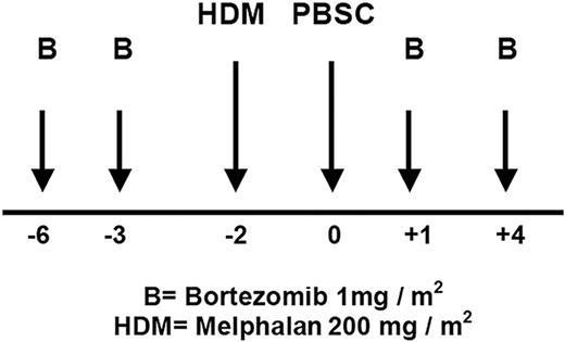 Figure 1. The Bor-HDM conditioning regimen schema.