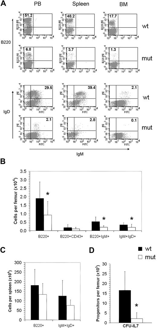 Figure 5. Asxl1tm1Bc/tm1Bc mutant mice exhibit reduced B-cell lymphopoiesis. (A) Flow cytometric profiles of adult (> 15 weeks old) peripheral blood (PB), spleen, and bone marrow (BM) show a relative decrease in B220- and IgM/IgD-positive cells in Asxl1tm1Bc/tm1Bc (mut) tissues compared with wild type (wt). (B) Absolute bone marrow cell numbers in adult femur expressing the markers B220; B220 and CD43; B220 and IgM; and IgM and IgD are significantly lower in Asxl1tm1Bc/tm1Bc mice compared with wild type (n = 8 each genotype except n = 4 for B220 and IgM). (C) Absolute cell numbers from > 15-week-old spleen expressing the markers B220, and IgM and IgD, are lower in Asxl1tm1Bc/tm1Bc mice compared with wild type (n = 8 each genotype). (D) In vitro colony formation of committed pre-B-lymphocyte progenitors (CFU–IL-7 assay) from adult bone marrow (> 15 weeks old) is significantly reduced in cultures of Asxl1tm1Bc/tm1Bc group B compared with wild type (n = 7 wt, 8 mutant). *P < .05.