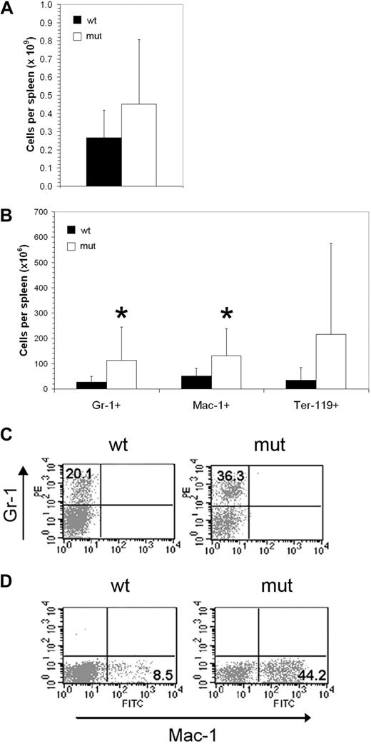Figure 6. Asxl1tm1Bc/tm1Bc mutant mice exhibit splenomegaly and increase in myeloid cell number. (A) Cellularity of Asxl1tm1Bc/tm1Bc (mut) adult spleens is increased compared with wild type (wt; n = 14 wt, 12 mutant). (B) In adult Asxl1tm1Bc/tm1Bc mice, the absolute numbers of myeloid (Gr1 or Mac1 positive) and erythroid (Ter119 positive) cells are increased in spleen (Gr1+ n = 13 wt, 11 mutant; Mac1+ n = 11; Ter119+ n = 10 wt, 7 mutant). (C) The proportion of cells bearing the myeloid lineage markers Gr1 (i) and Mac (ii) is increased in adult spleen of Asxl1tm1Bc/tm1Bc mutants.