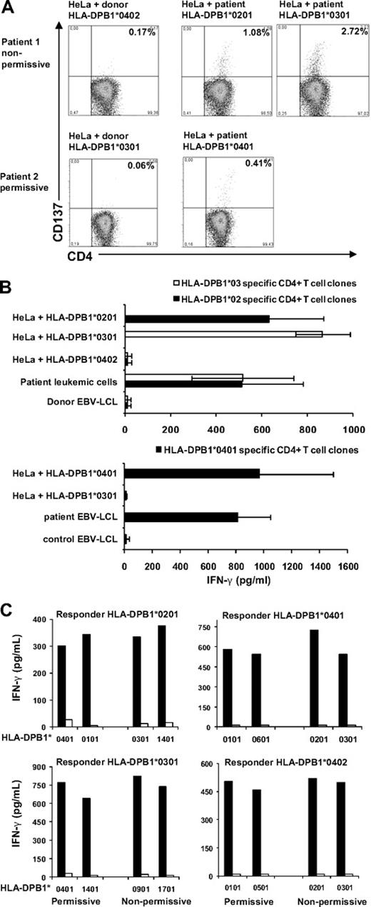Figure 1. Permissive and nonpermissive HLA-DPB1 mismatches induced HLA-DP specific immune responses in vivo and in vitro. Two patients transplanted with an HLA-A, -B, -C, -DRB1, -DQB1 matched, HLA-DPB1 mismatched SCT were analyzed for the presence of HLA-DP specific CD4+ T cells after DLI. Patient 1 (HLA-DPB1*0201,0301) was transplanted for a chronic B-cell leukemia with a nonpermissive HLA-DPB1 mismatched donor (HLA-DPB1*0402,0501). Patient 2 (HLA-DPB1*0401) was transplanted for multiple myeloma with a permissive HLA-DPB1 mismatched donor (HLA-DPB1*0301,0402) in the GVH direction. (A) Purified CD4+ T cells obtained during the clinical immune response to DLI were stimulated with HLA class II negative HeLa cells transduced with either donor or patient HLA-DP molecules. After 48 hours, CD137 expression on CD4+ T cells was determined using flow cytometry. Percentages of CD137 positive CD4+ T cells in response to stimulation with different HLA-DP molecules are shown. (B) CD137 expressing CD4+ T cells shown in panel A were clonally isolated and tested for recognition of different target cells. IFN-γ production (pg/mL) was determined in 50 μL of supernatant. Mean results ± SD of a selection of 11 HLA-DPB1*0201 specific CD4+ T-cell clones, 15 HLA-DPB1*0301 specific CD4+ T-cell clones, and 15 HLA-DPB1*0401 specific CD4+ T-cell clones are shown. (C) Purified CD4+ T cells derived from 4 different healthy persons were stimulated with HeLa cells transduced with permissive mismatched HLA-DPB1 molecules (n = 2) or nonpermissive mismatched HLA-DPB1 molecules (n = 2). At day 14, 25 000 CD4+ T cells from each cell line were restimulated with 50 000 HLA-DP transduced HeLa cells used for stimulation (■) or HeLa cells transduced with control donor HLA-DP molecules (□). IFN-γ release (pg/mL) measured in 50 μL of supernatant upon restimulation is shown.