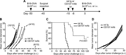 Figure 1. Effect of anti-CD137 mAb in the prevention of recurrence and metastases of murine B16-OVA melanoma. (A) A schematic of mouse models of melanoma recurrence and metastases and anti-CD137 mAb treatment protocol. (B) Effect of anti-CD137 mAb in the prevention of recurrence of B16-OVA tumor. Upon removal of primary tumors, mice were challenged with B16-OVA tumor cells subcutaneously, and the sizes of tumors were measured individually and recorded as the mean tumor diameter regularly. Results are 1 representative of 3 independent experiments. (C) Effect of anti-CD137 mAb in the prevention of metastases of B16-OVA tumor. Upon removal of primary tumors, mice were challenged with B16-OVA tumor cells intravenously, and the survival of mice was monitored daily up to 120 days. Results are 1 representative of 3 independent experiments. ***Significantly different from control mAb (rat Ig) treatment group, P < .001. (D) Presensitization of mice to primary tumors is required for the effect of anti-CD137 mAb. Mice were mock-treated by surgery, as in panel B but without primary tumor inoculation, and subsequently treated with anti-CD137 mAb. B16-OVA tumors were then inoculated, measured individually, and recorded as the mean tumor diameter regularly. Results are 1 representative of 3 independent experiments.
