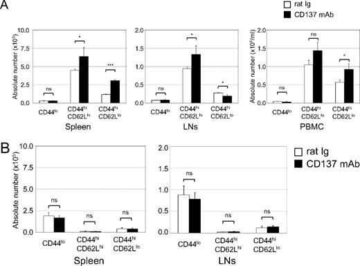 Figure 3. Flow cytometric analysis of mononuclear cells after anti-CD137 mAb treatment. Naive B6 mice (Thy1.2) were transferred with 107 purified activated (A) or naive (B) OT-1 T cells (CD8+ Thy1.1). As previously described, 3 weeks later they were treated with rat Ig or anti-CD137 mAb. At 10 days after antibody treatment, mononuclear cells were harvested from spleen, lymph nodes (axilla and inguinal), and peripheral blood. OT-1 T cells were identified by anti-Thy1.1 mAb. Absolute numbers of OT-1 T cells of spleen, lymph nodes, and peripheral blood were calculated. Subsets of effector Tms (CD44hiCD62Llo), central Tms (CD44hiCD62Lhi), and naive T cells (CD44lo) of OT-1 T cells were identified by the indicated specific mAbs. Results are 1 representative of at least 3 independent experiments. ns indicates not significant; *P < .05; ***P < .005.