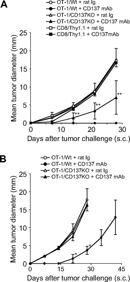 Figure 5. CD137 expression on both OT-1 Tms and host cells is required for the effect of anti-CD137 mAb. (A) CD137 on OT-1 Tms is required for the effect of anti-CD137 mAb. Spleen cells were prepared from wild-type OT-1 (OT-1/Wt) or CD137-deficient OT-1 (OT-1/CD137KO) mice, and activated by anti-CD3/CD28 mAb in vitro for 2 days. In addition, spleen cells from Thy1.1 mice (CD8+Thy1.1) were also activated with the same procedure as controls. Activated cells were transferred into naive B6 mice for memory T-cell development. One month later, mice were treated with rat Ig or anti-CD137 mAb as indicated. One week after antibody treatment, B16-OVA was inoculated subcutaneously. Tumor sizes were measured regularly. Each point is the mean (± SD) tumor diameter in a group of 5 mice, and the result is a representative of 3 independent experiments. **P < .01 compared with the OT-1/Wt Tms treated with control rat Ig. Mice treated with OT-1/CD137KO Tms and anti-CD137 mAb had a significantly weaker response against tumor in comparison with those treated with OT-1/Wt Tms and anti-CD137 mAb (P = .026, 2-way ANOVA). (B) CD137 on host cells is required for the effect of anti-CD137 mAb. OT-1/Wt and OT-1/CD137KO were transferred into naive CD137KO mice and subsequently treated with rat Ig or anti-CD137 mAb. Each point indicates the mean tumor diameters in a group of 5 mice, and error bars show SD. Results are 1 representative of 3 independent experiments. *P < .05 compared with the OT-1/CD137KO treated with anti-CD137 mAb.