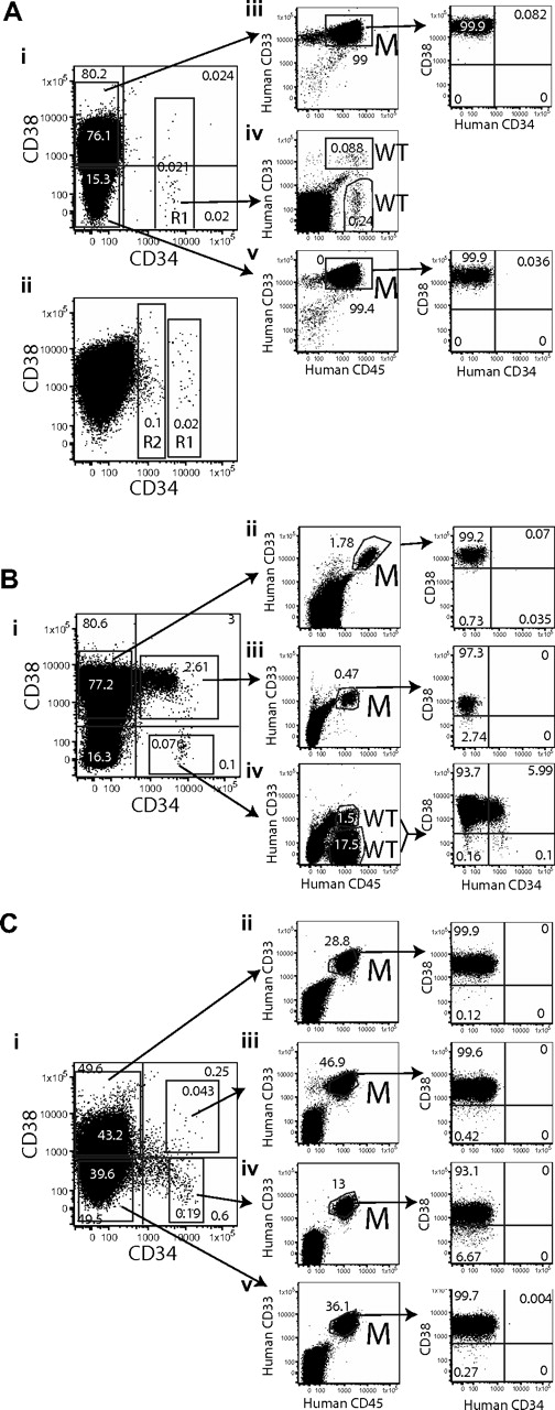 Figure 2. Sorting strategy and results of transplantation from fractions of NPM mutant AML. The phenotypes and sorting strategies are displayed for subtypes A-C. Sorted fractions of the leukemias were transplanted into mice. The expression of human CD45, CD33, CD38, and CD34 on bone marrow cells from the mice is displayed in the plots on the right. The nature of the human cells was assessed by quantitative PCR, and the results are indicated by letters adjacent to the plots. M indicates mutated NPM and WT indicates wild-type NPM. (A) The phenotypes of 2 subtype A samples are displayed. The R1 region indicates the gate used for sorting CD34+ cells (Ai). Some subtype A samples also have a separate CD34dim population that is marked by the R2 region (Aii). AML was initiated by the CD34−CD38+ (Aiii) and CD34−CD38− (Av) fractions of sample 3 (subtype A), whereas CD34+CD38− cells (Aiv) initiated normal multilineage hematopoiesis. (B) Sample 15 (subtype B) was sorted as indicated (Bi). The CD34−CD38+ (Bii) and CD34+CD38+ (Biii) fractions of sample 15 initiated leukemia, whereas CD34+CD38− cells (Biv) initiated normal multilineage hematopoiesis. (C) Sample 17 (subtype C) was sorted as indicated (Ci). All fractions of sample 17 initiated AML (Cii-v) though both normal and leukemic cells arose from the CD34+CD38− fraction in some mice.