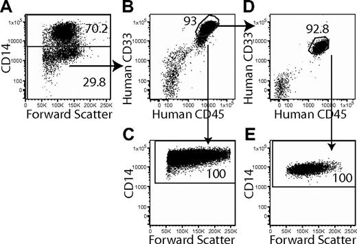 Figure 3. The phenotype of LICs can change in the mice. The expression of CD14 is seen in the primary AML sample from sample 7(A). The sample was sorted, and 250 000 CD14+ cells were transplanted into 3 mice, but no graft was detected at 9 weeks. By contrast 250 000 CD14− cells gave rise to a graft at 9 weeks in 2 of 2 mice transplanted (B), indicating that the LICs were CD14−. All the human CD45+ cells derived from the CD14− fraction expressed CD14 (C). These CD14+ cells were capable of initiating a graft in secondary recipients (D), indicating that the LICs were now CD14. The human CD45+ cells in the secondary recipients were CD14+ (E).