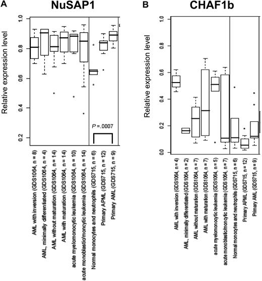 Figure 5. NuSAP1 gene expression is in the top quartile of AML gene repertoire. Data obtained from 5 independent experiments in GEO is graphed as a box and whisker plot for NuSAP1 (A) and CHAF1b (B). The x-axis indicates a separate group/subset of samples from each GEO dataset (GDS). The GDS accession number for each is also shown. The y-axis indicates the normalized level of expression of the respective mRNA. These GDSs were picked because they were among the largest (in terms of number of arrays) experiments related to AML.