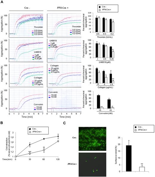 Figure 2. Role of PI3Kβ in functional platelet responses. (A) Role of PI3Kβ in promoting platelet aggregation. Platelets from p110flox/flox control (Cre−) or PF4-Cre/p110flox/flox (PF4-Cre+) mice were stimulated with thrombin, U46619, collagen, or convulxin, and aggregation was assessed using a Chrono-log dual-channel aggregometer under stirring at 900 rpm for 7 minutes. The profiles shown are representative of 5 independent experiments. Quantifications of the maximum of aggregation at 6 minutes are shown and are mean ± SEM of 5 independent experiments (right panels). (B) Role of PI3Kβ in promoting fibrin clot retraction. Photographs show the extent of clot retraction in wild-type and p110β-null platelet-rich plasma samples treated with 10 IU/mL thrombin. Quantification of the volume of serum extruded from the clot is shown. Results are the mean ± SEM of 3 independent experiments. (C) DIOC6-labeled platelets in whole blood from p110flox/flox control (Cre−) or PF4-Cre/p110flox/flox (PF4-Cre+) mice were perfused through fibrinogen-coated Bioflux plates at a shear rate of 1500 seconds for 5 minutes. Representative images at 5 minutes are shown. Images obtained with an epifluorescence microscope (Axiovert 200, Carl Zeiss; 40×/1.3 NA objective; 37°C) were captured with a CCD camera (CoolSnap HQ; Roper Scientific) and Metamorph software Version 6.2r6 (Universal Imaging Corp). Area covered by platelets was measured. Results shown are the mean ± SEM of 5 experiments. Statistical analysis: *P < .05; **P < .01; ***P < .005. (D) Thrombotic response of mice to ferric chloride injury of the carotid artery. Flow rates were measured in the carotid artery after exposure to 7% FeCl3 during 3 minutes. The experiment was stopped after 30 minutes. (i) For each genotype, the number of mice forming a stable occlusion is shown in black. The number of mice that formed an unstable occlusion that resolved is shown in gray. The number of mice that formed only a partial occlusion is shown in white. (ii) Representative flow traces for each case (stable occlusion, no occlusion, and unstable occlusion).