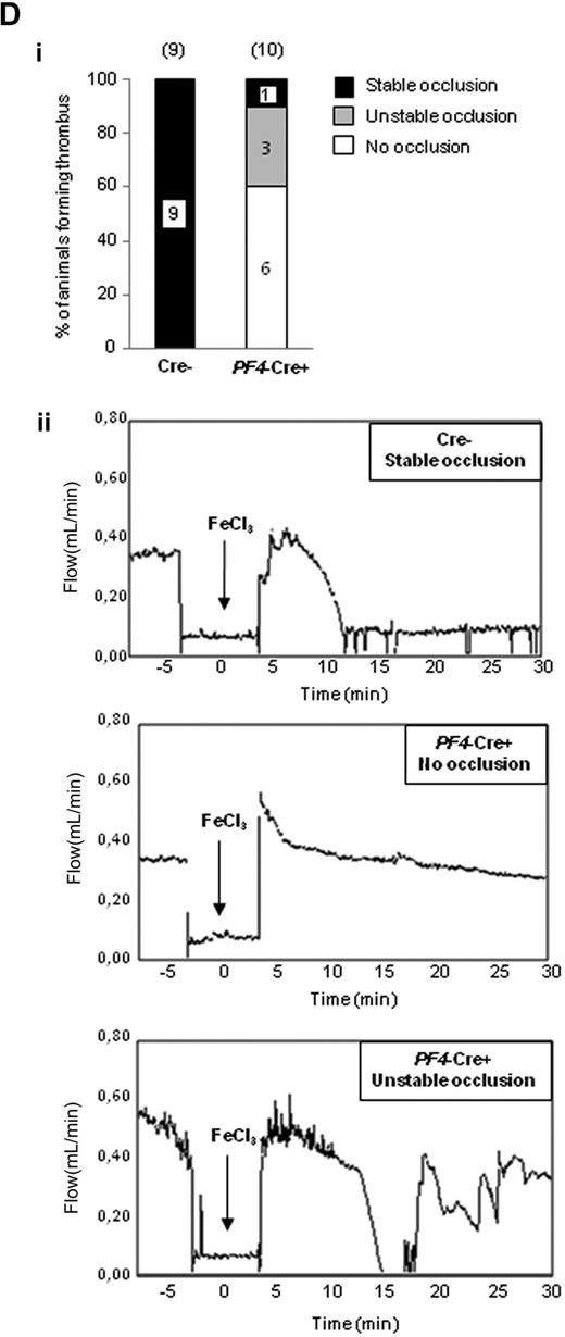 Figure 2. Role of PI3Kβ in functional platelet responses. (A) Role of PI3Kβ in promoting platelet aggregation. Platelets from p110flox/flox control (Cre−) or PF4-Cre/p110flox/flox (PF4-Cre+) mice were stimulated with thrombin, U46619, collagen, or convulxin, and aggregation was assessed using a Chrono-log dual-channel aggregometer under stirring at 900 rpm for 7 minutes. The profiles shown are representative of 5 independent experiments. Quantifications of the maximum of aggregation at 6 minutes are shown and are mean ± SEM of 5 independent experiments (right panels). (B) Role of PI3Kβ in promoting fibrin clot retraction. Photographs show the extent of clot retraction in wild-type and p110β-null platelet-rich plasma samples treated with 10 IU/mL thrombin. Quantification of the volume of serum extruded from the clot is shown. Results are the mean ± SEM of 3 independent experiments. (C) DIOC6-labeled platelets in whole blood from p110flox/flox control (Cre−) or PF4-Cre/p110flox/flox (PF4-Cre+) mice were perfused through fibrinogen-coated Bioflux plates at a shear rate of 1500 seconds for 5 minutes. Representative images at 5 minutes are shown. Images obtained with an epifluorescence microscope (Axiovert 200, Carl Zeiss; 40×/1.3 NA objective; 37°C) were captured with a CCD camera (CoolSnap HQ; Roper Scientific) and Metamorph software Version 6.2r6 (Universal Imaging Corp). Area covered by platelets was measured. Results shown are the mean ± SEM of 5 experiments. Statistical analysis: *P < .05; **P < .01; ***P < .005. (D) Thrombotic response of mice to ferric chloride injury of the carotid artery. Flow rates were measured in the carotid artery after exposure to 7% FeCl3 during 3 minutes. The experiment was stopped after 30 minutes. (i) For each genotype, the number of mice forming a stable occlusion is shown in black. The number of mice that formed an unstable occlusion that resolved is shown in gray. The number of mice that formed only a partial occlusion is shown in white. (ii) Representative flow traces for each case (stable occlusion, no occlusion, and unstable occlusion).