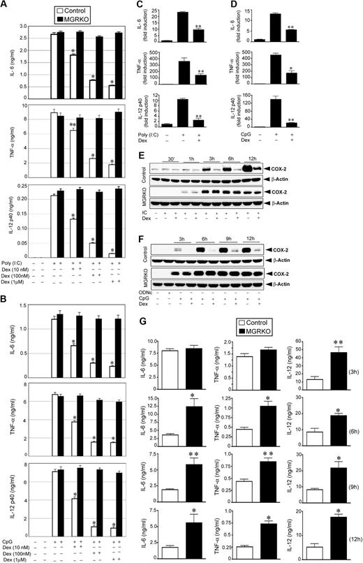 Figure 1. Dex suppresses TLR3- and TLR9-mediated inflammatory gene expression. Effect of Dexamethasone (Dex) on (A) Poly (I:C)–mediated (50 μg/mL) and (B) CpG-mediated (2μM) proinflammatory cytokine secretion in control and MGRKO macrophages. Cells were treated with the indicated doses of Dex for 3 hours followed by Poly (I:C) or CpG treatment for 24 hours. Concentrations of IL-6, TNF-α, and IL-12 in the culture media were analyzed by ELISA. Data are shown as mean ± SEM; n = 4; *P < .001 and **P < .005 for control macrophages compared with treatment group with Dex in MGRKO macrophages. Effect of Dex on (C) Poly (I:C)–mediated and (D) CpG-mediated proinflammatory cytokine mRNA transcript synthesis. Cells were pretreated with Dex followed by Poly (I:C) or CpG treatment for 4 hours. IL-6, TNF-α, and IL-12 mRNA was normalized to glyceraldehyde-3-phosphate dehydrogenase mRNA, and expressed relative to that in untreated controls. Each bar in the figure represents the average across 3 independent experiments of 2 independently run experimental replicates. Data are shown as mean ± SEM; *P < .05 and **P < .01 for Dex-treated macrophages compared with treatment group treated with Poly (I:C) or CpG only. Effect of Dex on (E) Poly (I:C)–mediated and (F) CpG-mediated COX-2 expression. Cells were pretreated with Dex followed by Poly (I:C) or CpG treatment for the indicated periods of time. ODNc (2μM) was used as the oligonucleotide control for CpG. Cell lysates were analyzed by Western blot using anti–COX-2 and anti–β-actin antibodies. Representative of 4 to 5 independent experiments. (G) Deletion of GR in macrophages enhanced Poly (I:C)–induced proinflammatory responses in vivo. Control and MGRKO mice were treated with Poly (I:C) for the indicated periods of time (within parentheses). Plasma concentrations of IL-6, TNF-α, and IL-12 were analyzed by ELISA. Data presented as mean ± SEM; n = 8-10. *P < .001 and **P < .005 for MGRKO mice compared with treatment group with Poly (I:C) in control mice.