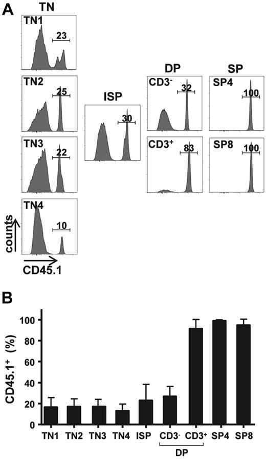 Figure 2. Donor-derived BM progenitors contribute to all stages of thymopoiesis after their IT administration. (A) CD45.1+ WT lin− BM cells (2 × 105) were injected intrathymically in ZAP-70−/− mice. Thymi were harvested between 20 and 25 weeks after injection, and the percentages of donor CD45.1+ thymocytes in each thymocyte subset were analyzed. Representative histograms show the percentages of donor TN1, TN2, TN3, TN4, immature single-positive (ISP), CD3− DP, CD3+ DP, CD4 SP, as well as CD8 SP thymocytes. (B) Bar graph quantification showing the percentages of CD45.1+ donor thymocytes at each maturation stage are presented as means ± SDs (n = 11).